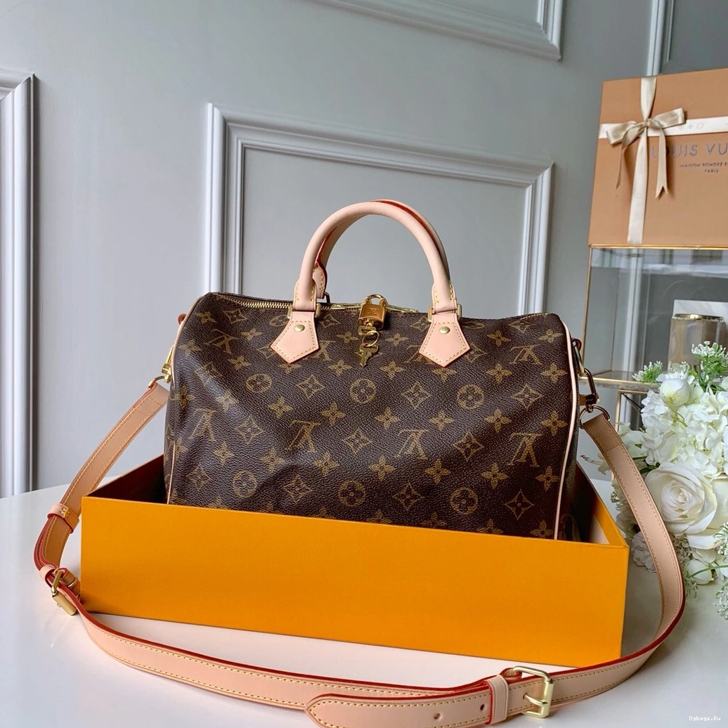 SPEEDY Vuitton Louis 30 BANDOULIERE 0801